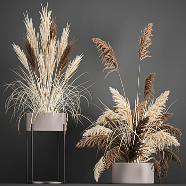 Pampas Grass Collection: Dried Reed and Stabilized Flowers 3D model image 1 