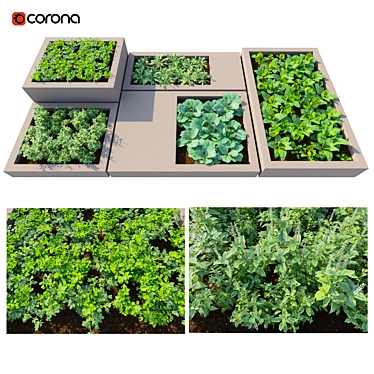 Urban Harvest: Rooftop Kitchen Garden 3D model image 1 