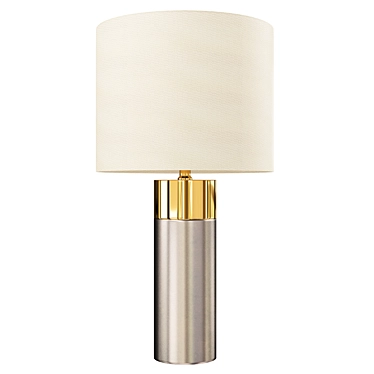Brass & Concrete Table Lamp 3D model image 1 