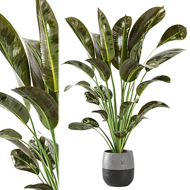 Green Oasis Indoor Plant Collection 3D model image 1 