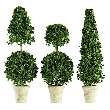 Concrete Pot Plants - Outdoor Greenery 3D model image 1 