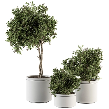 Bountiful Greens 311: Stylish Indoor Plant Set 3D model image 1 
