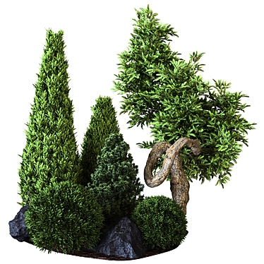 Outdoor Plant Collection Vol. 22: Versatile 3D Model 3D model image 1 