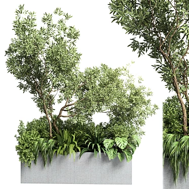 Outdoor Plant Collection: 68 Pot Plant Bush Grass and Tree Palm Concrete Vase 3D model image 1 