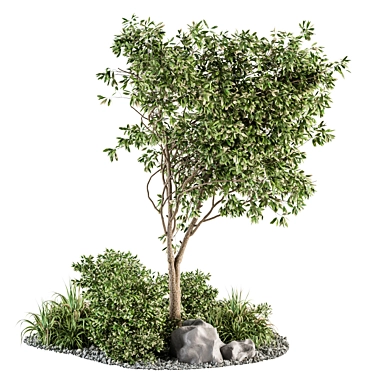 Evergreen Oasis - Outdoor Garden Set 3D model image 1 