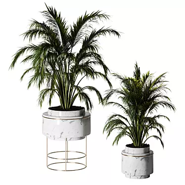 Lush Indoors: Fern Duo 3D model image 1 