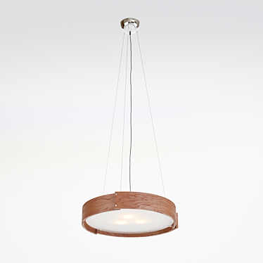 Wooden Maple Pendant Light 3D model image 1 