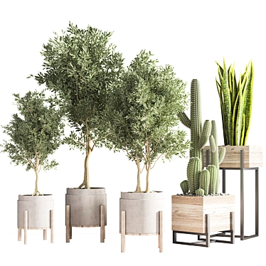 33-Piece Indoor Plant Set: Stylish and Green 3D model image 1 