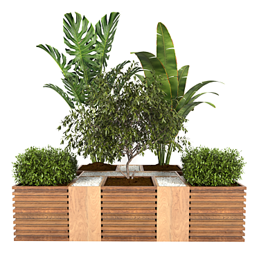Tropical Plant Collection: Banana, Monstera & More 3D model image 1 