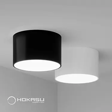 HOKASU MOON LED Surface Lamp 3D model image 1 