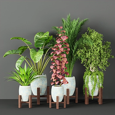 Natural Oasis Vol. 53: Indoor Greenery 3D model image 1 