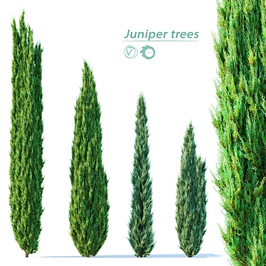 Evergreen Juniper Tree Quartet 3D model image 1 