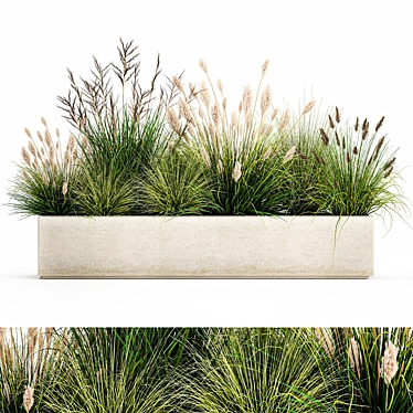 Tropical Plant Collection: Exotic Ornamental Grasses 3D model image 1 