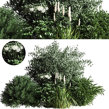 Premium Bush04 2015 Model: Vray/Corona Compatible 3D model image 1 