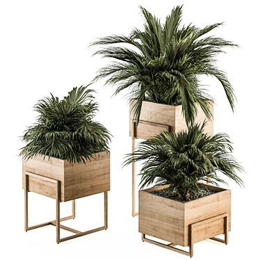 318 Indoor Plant Set in Wooden Box 3D model image 1 