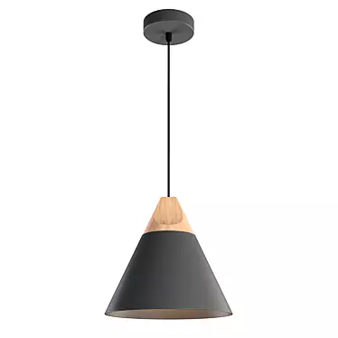 Sleek Pendant Lamp for Modern Interiors 3D model image 1 