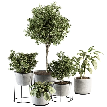 308 Indoor Plant Set: Tree & Plant in Black Pot 3D model image 1 