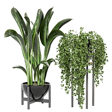 Modern Indoor Plants Set for Ferm Living Bau Pot 3D model image 1 