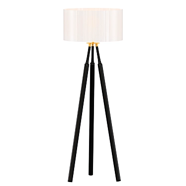 Elegant Coen Floor Lamp 3D model image 1 