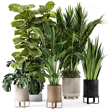 Ferm Living Bau Pot Large - Set 333: Stylish Indoor Plants 3D model image 1 