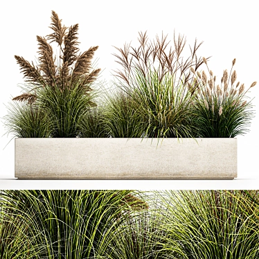 Exotic Greenery: Plants for Indoor/Outdoor Decoration 3D model image 1 