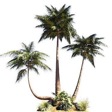 Coastal Palm Garden: Resort Paradise 3D model image 1 