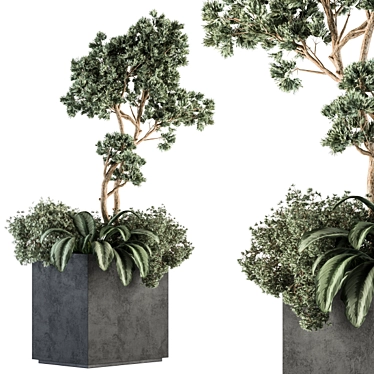Concrete Box Plant Set - Outdoor 329 3D model image 1 