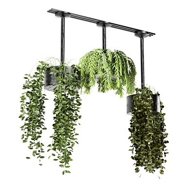 Metal Box Hanging Plants Set 3D model image 1 