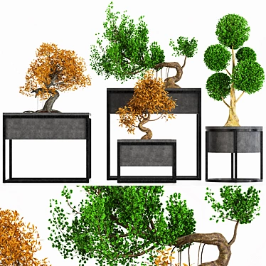 Exquisite Bonsai Tree Collection 3D model image 1 