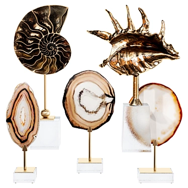 Sea shell decorative set 02