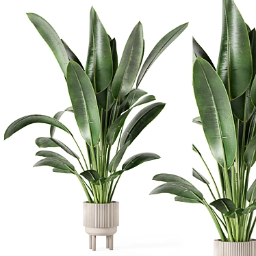 Standing Legs Concrete Pot Set - Indoor Plants 3D model image 1 