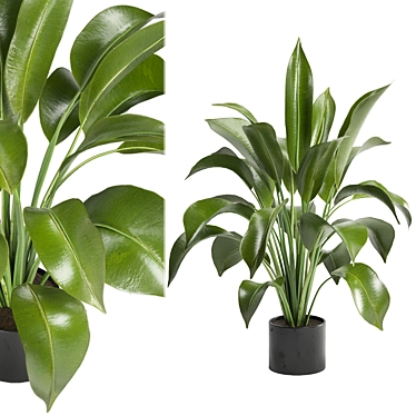 Ferm Living Bau Pot Large - Set 136: Indoor Plants 3D model image 1 