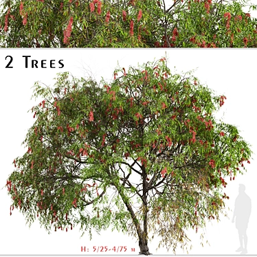 Lemon Bottlebrush Tree Set: Citrus-Scented Beauty 3D model image 1 