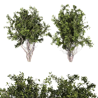 Dual Tree Set: 692K Poly 3D model image 1 