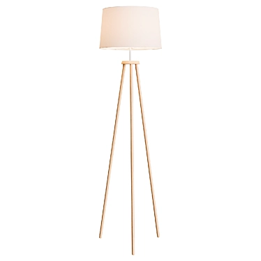 Fernleaf Effie Floor Lamp - 150cm 3D model image 1 