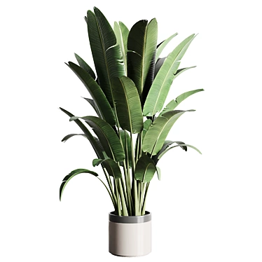 Ravenala Concrete Vase: Indoor Outdoor Plants 3D model image 1 