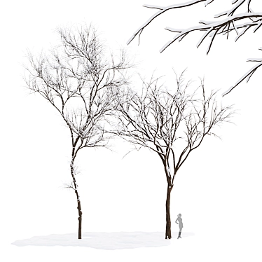 Winter Wonderland Tree Collection 3D model image 1 