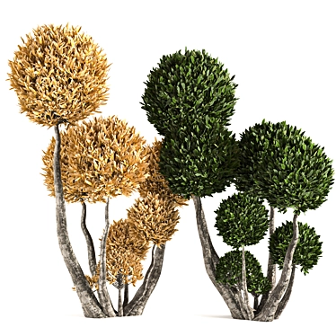 Variety of Trees - Volume 02 3D model image 1 