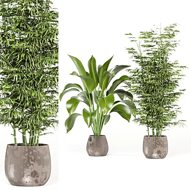 Ferm Living Bau Pot Large - Set 141: Indoor Plants for Modern Interiors 3D model image 1 