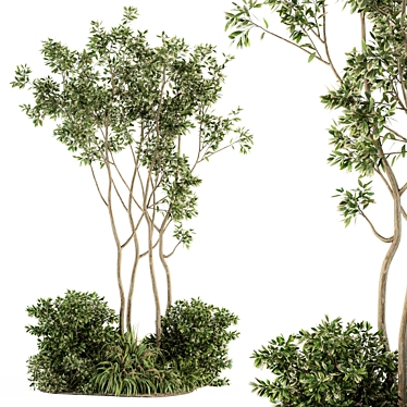 Outdoor Greenery Set | 330 Plant Varieties 3D model image 1 