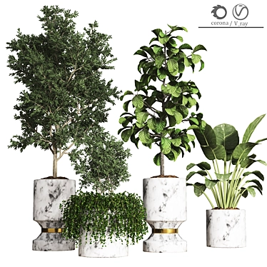 Premium Plant Collection 08 3D model image 1 