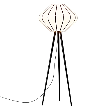Starling Lantern Floor Lamp 3D model image 1 