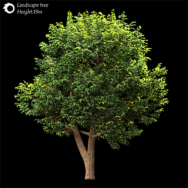  Majestic Land Scape Tree 3D model image 1 