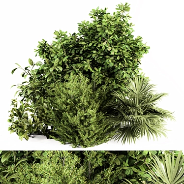 Exotic Bush Collection: Tropical & Box Tree - Set 52 3D model image 1 