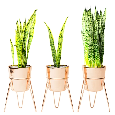 Sleek Snake Plant Stand 3D model image 1 