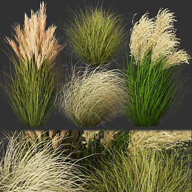 Premium Grass Collection for Outdoor Landscaping 3D model image 1 