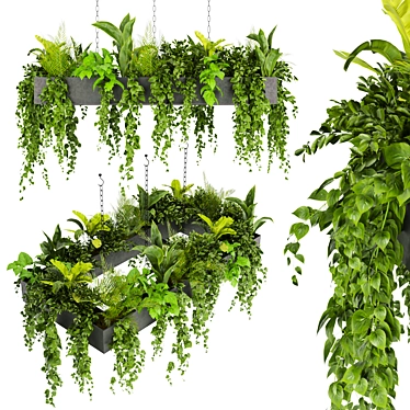Hanging Indoor Ampelous Collection Plant 3D model image 1 