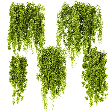  Premium Ivy Leaf Outdoor Collection 3D model image 1 