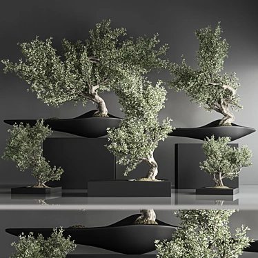 Zen Bonsai Indoor Plant Set 3D model image 1 