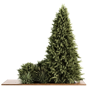 Evergreen Garden Set: Pine Tree & Bush 3D model image 1 